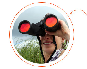 Поиск по всему содержимому сайта